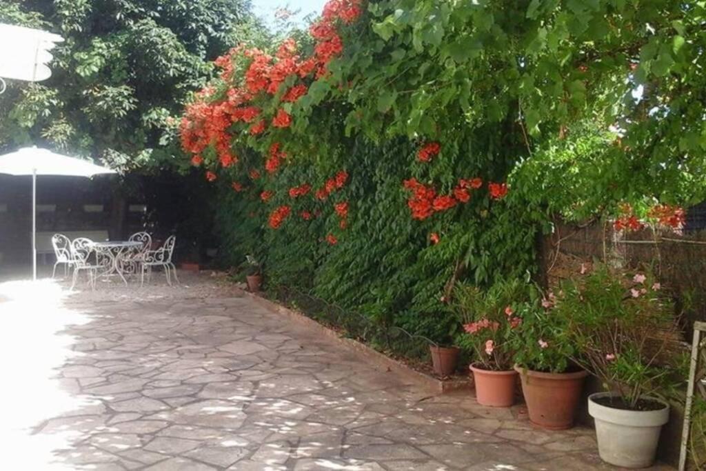 Maison de charme en Périgord 10 personnes La maison d'Albertine Peyrillac-et-Millac Exterior foto